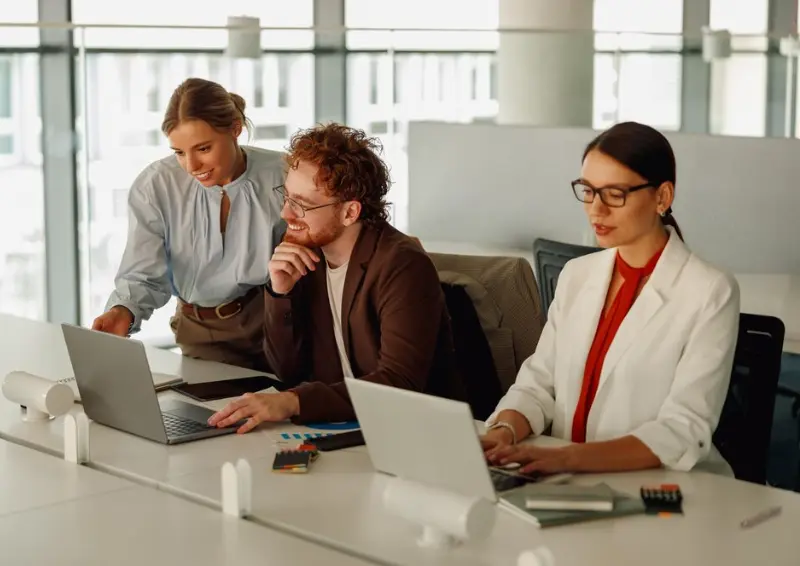 Colleagues working on laptops in a modern bright office interior, business directory